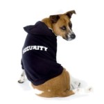 security_dog_hoodie_on_black_white